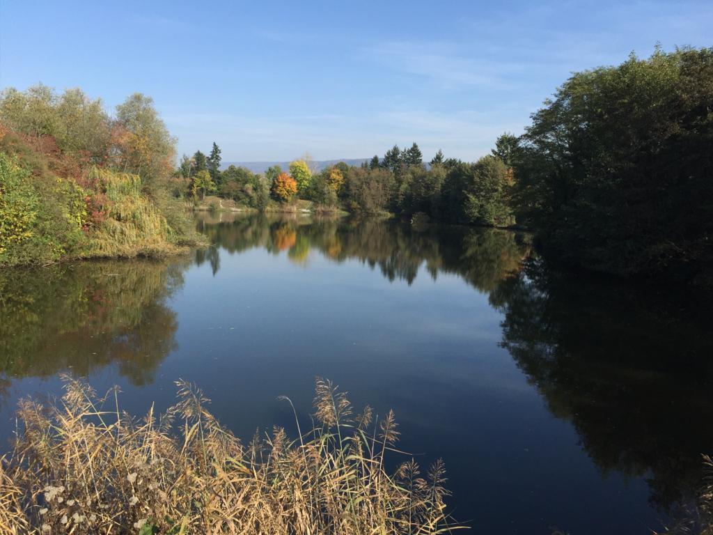 Guesthouse Lichtenau Nußloch Eksteriør bilde
